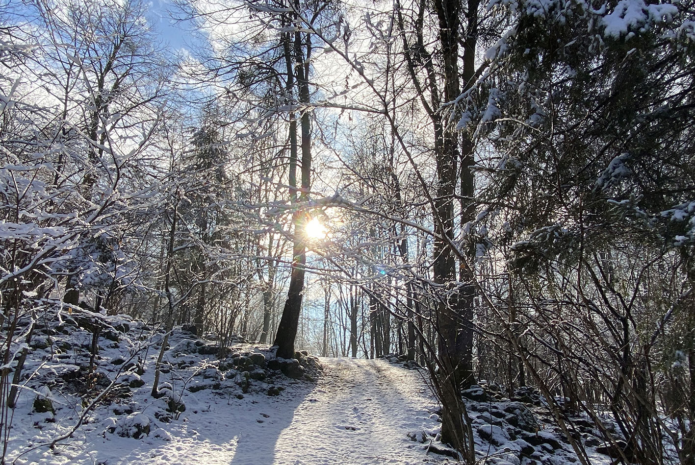 lutin-bosco-neve-2025.jpg